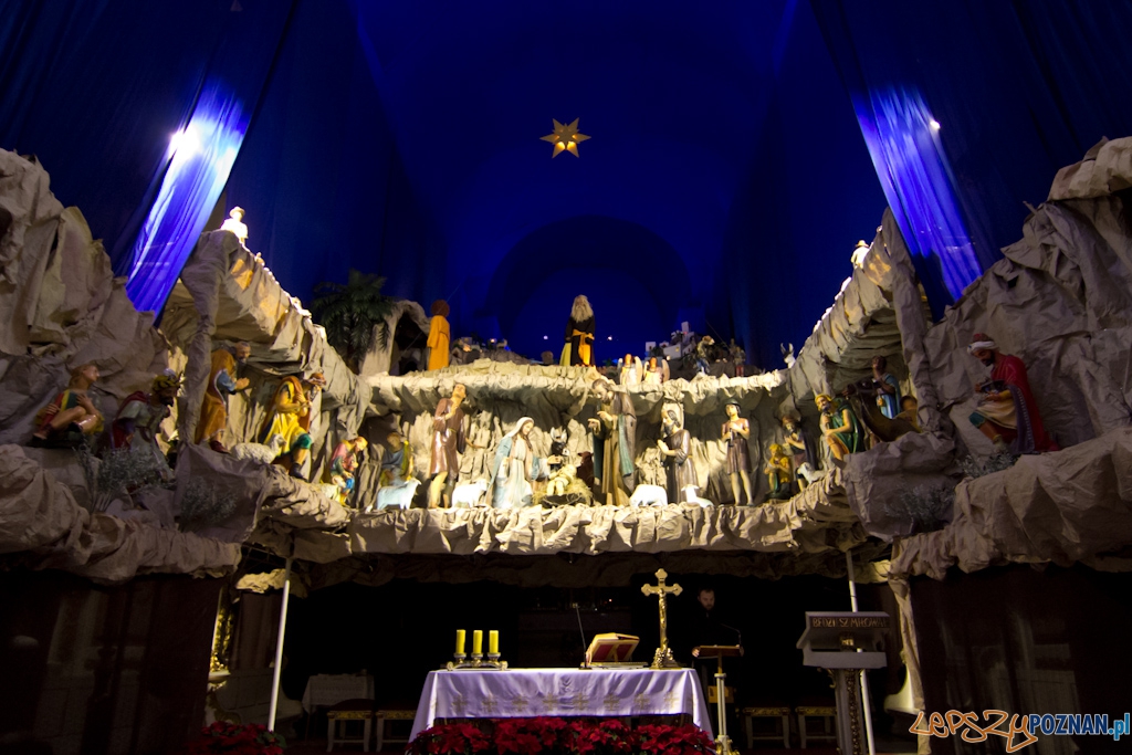 Szopki bożonarodzeniowe - Kościół św. Franciszka Serafickiego (bernardynów)  Foto: lepszyPOZNAN.pl / Piotr Rychter