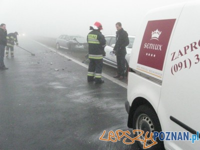 Wypadek na autostradzie pod Wrześnią  Foto: Państwowa Straż Pożarna