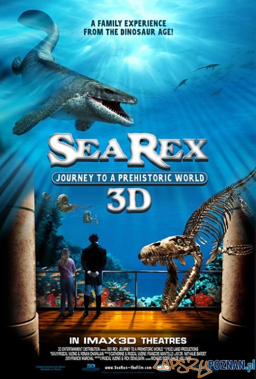 Sea Rex 3D  Foto: Sea Rex 3D