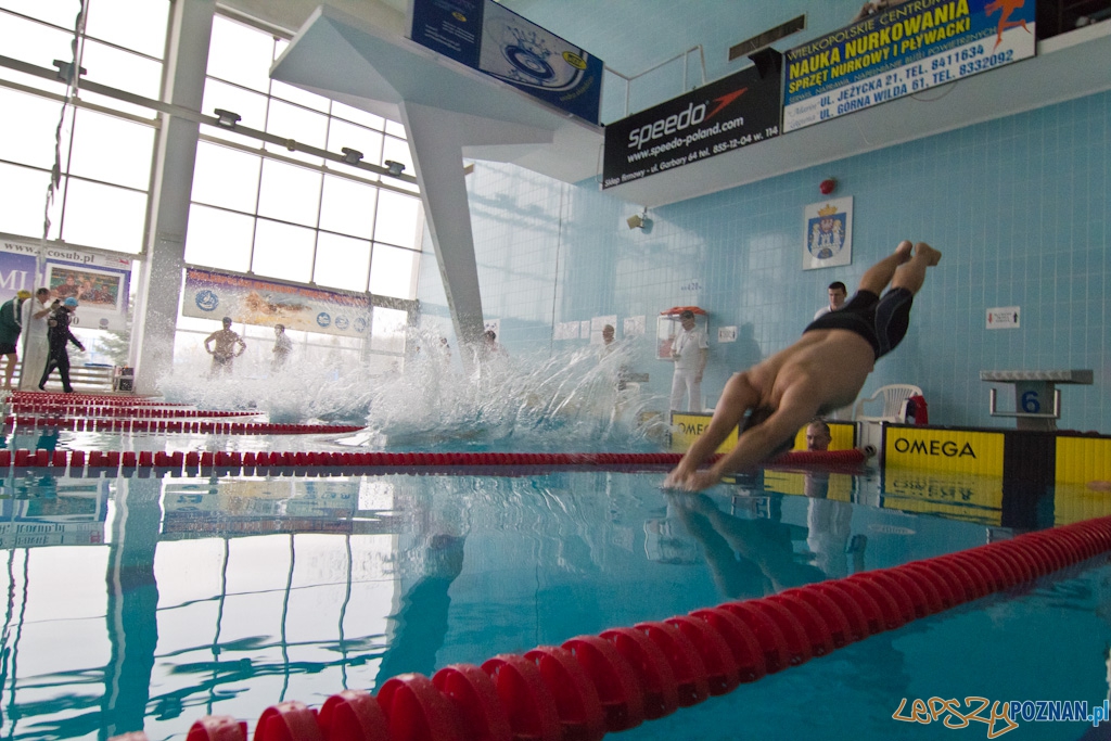 XI otwarte integracyjne Mistrzostwa Wielkopolski w pływaniu MASTERS  Foto: lepszyPOZNAN.pl / Piotr Rychter
