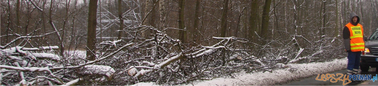 panorama korek na baraniaka  Foto: lepszyPOZNAN.pl