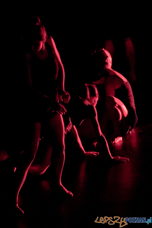 IV Festiwal Atelier Polskiego Teatru Tańca – COACHING PROJECT - 27.02.2011 r.  Foto: LepszyPOZNAN.pl / Paweł Rychter