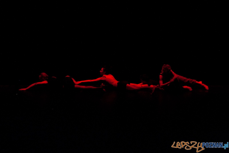 IV Festiwal Atelier Polskiego Teatru Tańca – COACHING PROJECT - 27.02.2011 r.  Foto: LepszyPOZNAN.pl / Paweł Rychter