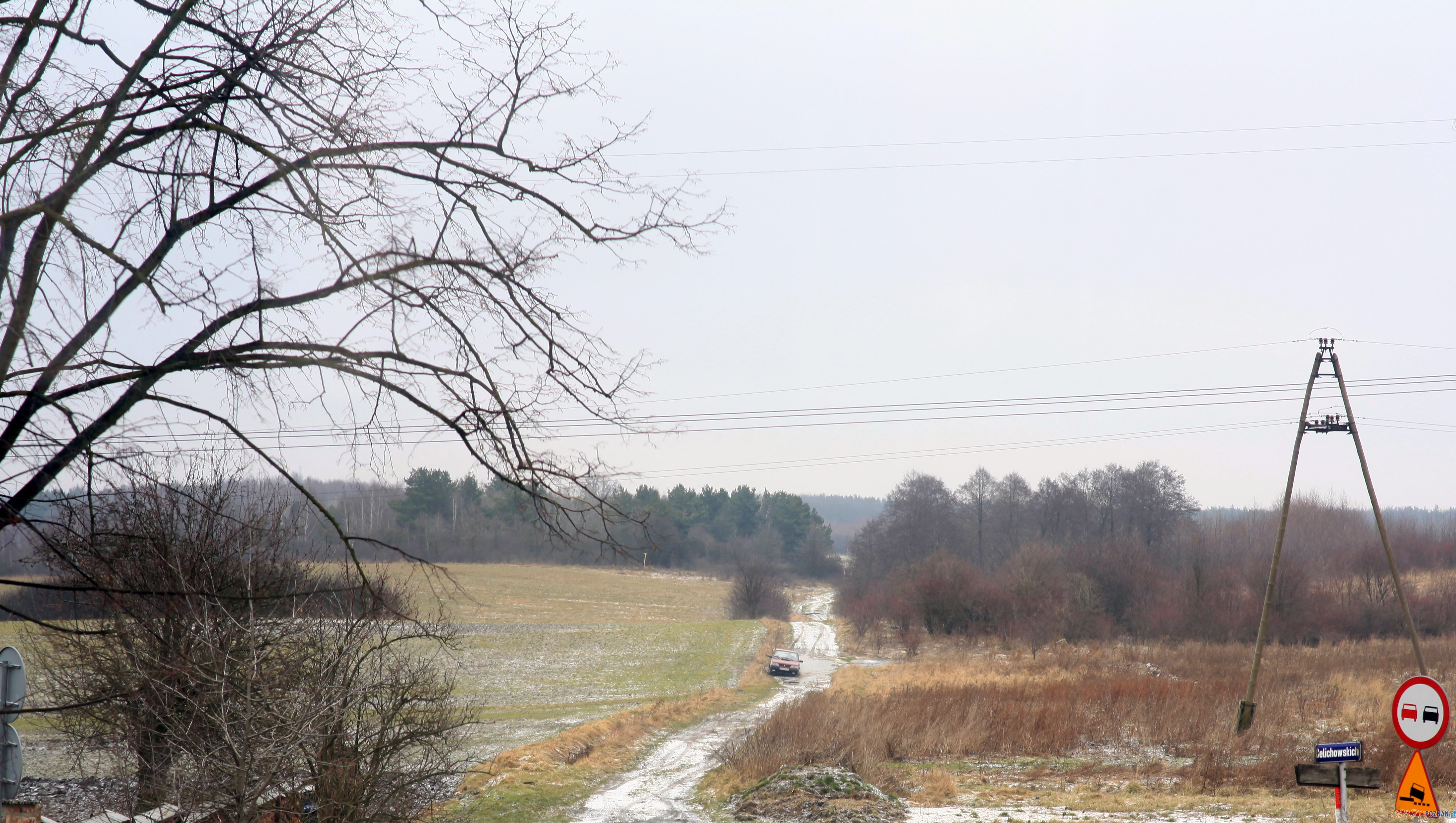 Mandat za wyrzucanie śmieci  Foto: Straż Miejska w Poznaniu