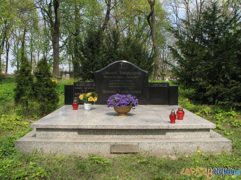 Grób marszałka Trąpczyńskiego na Cmentarzu Zasłuzonych Wielkopolan  Foto: http://www.city.poznan.pl/mapa_geopoz