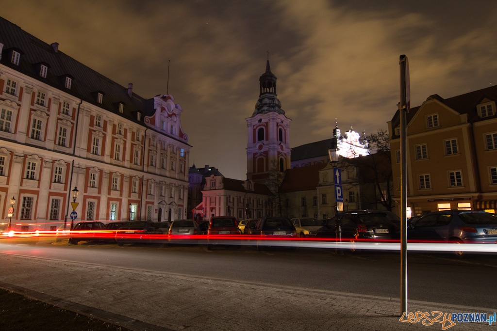 Godzina Dla Ziemi - Poznań 2011  Foto: lepszyPOZNAN.pl / Piotr Rychter