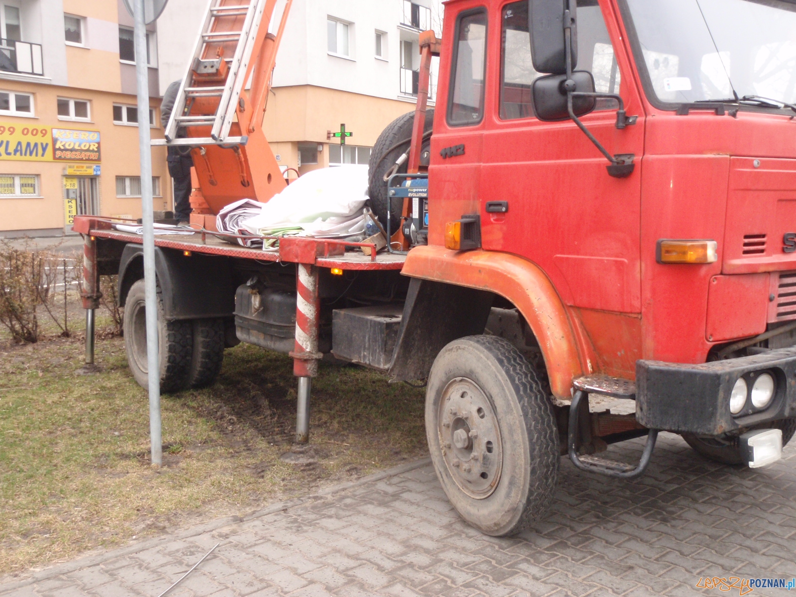 Niszczenie zieleni  Foto: Straż Miejska