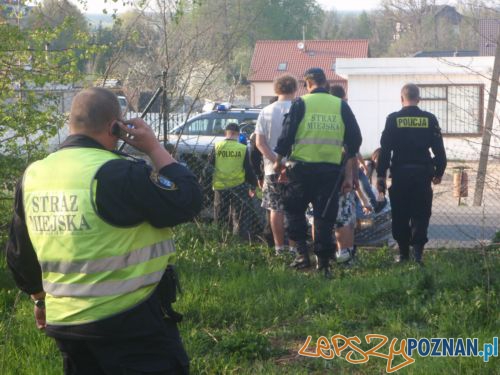 W długi weekend młodzież się nudzi  Foto: Straż Miejska