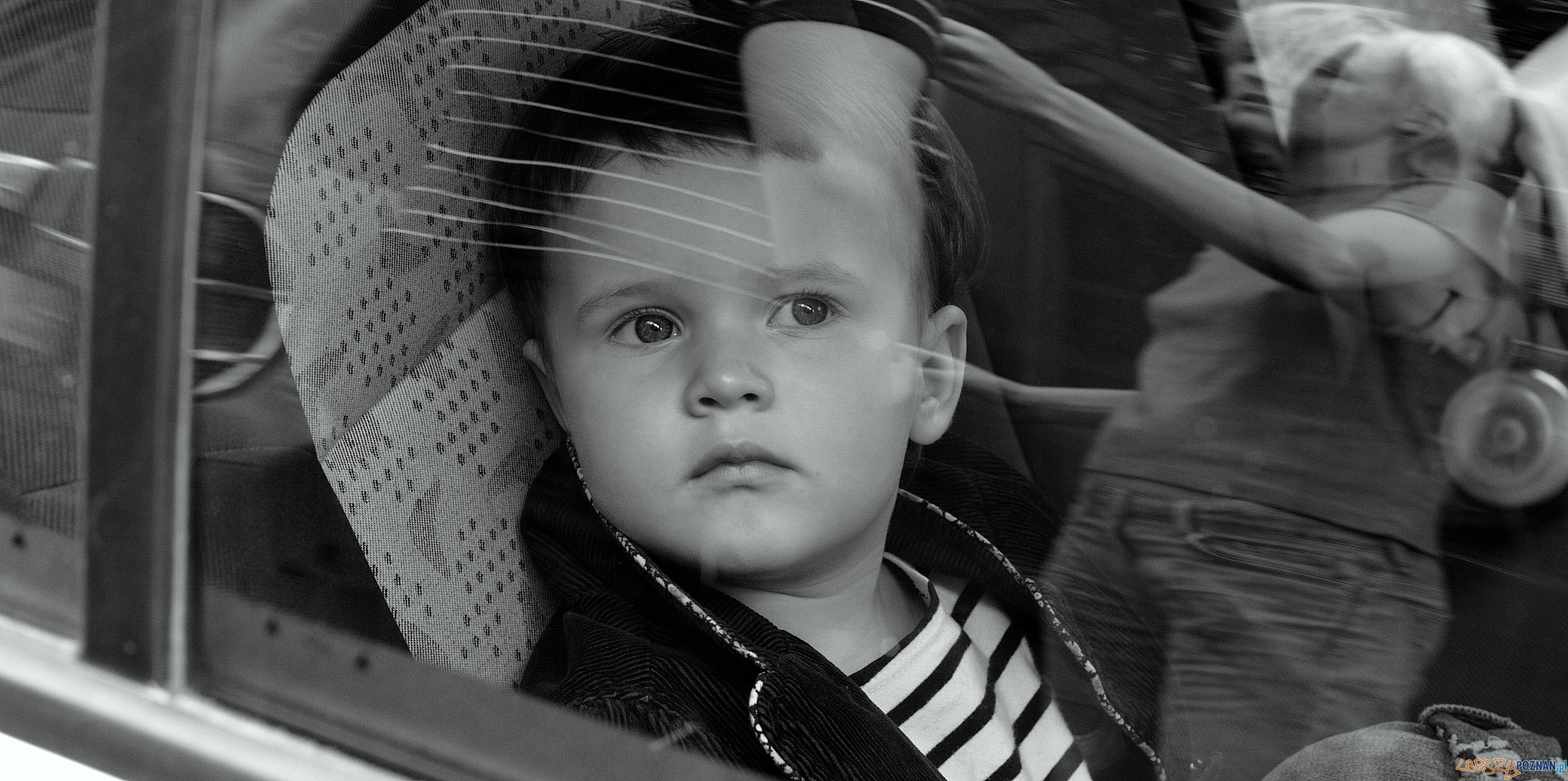 dziecko w samochodzie fotelik samochodowy  Foto: sxc