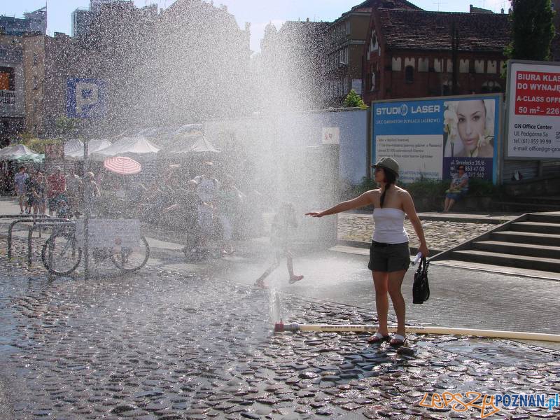 Kurtyny wodne - doskonała ochłoda!  Foto: lepszyPOZNANA.pl / ag