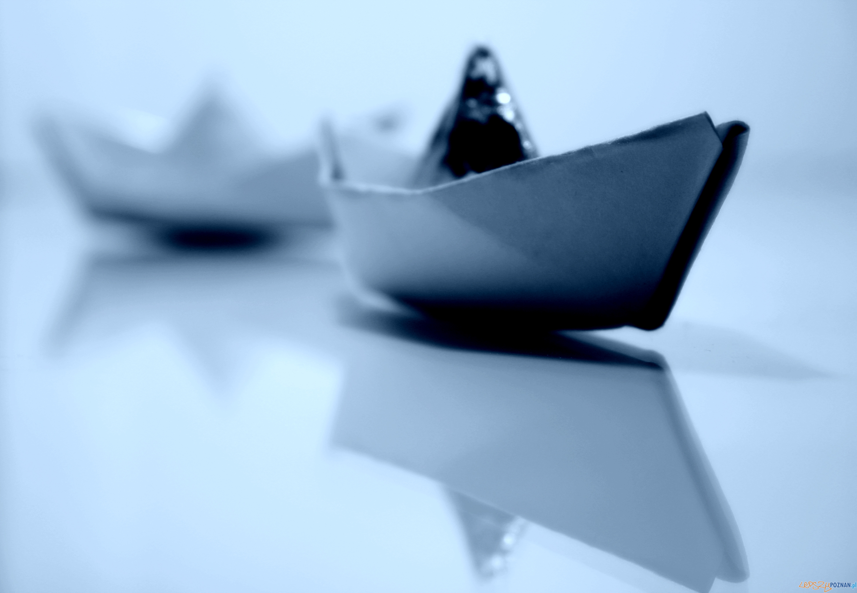 papierowa łódka origami  Foto: sxc