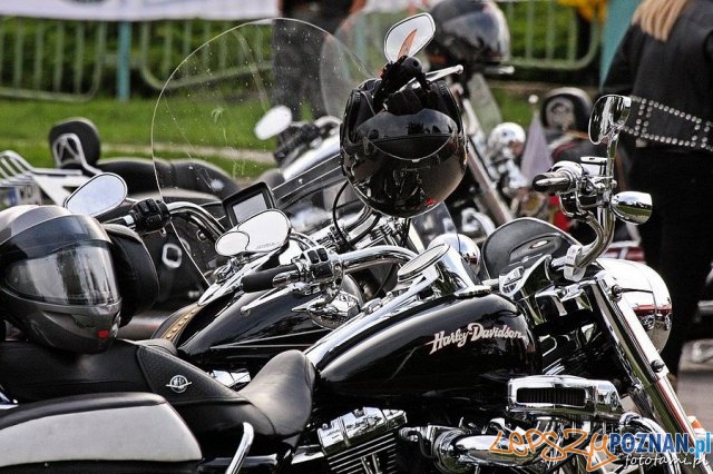 Zlot motocykli Harley-Davidson  Foto: Tamara Tyrańska