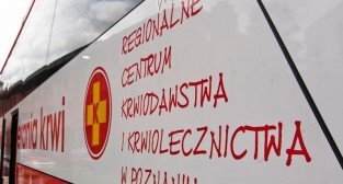 Krewni Euro na dziedzińcu PSP - Poznań 16.09.2011 r.  Foto: LepszyPOZNAN.pl / Paweł Rychter