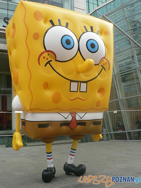 Spongebob  Foto: 