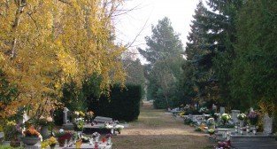 Cmentarz Junikowski Foto: lepszyPOZNAN.pl / ag Cmentarz Junikowski  Foto: lepszyPOZNAN.pl / ag