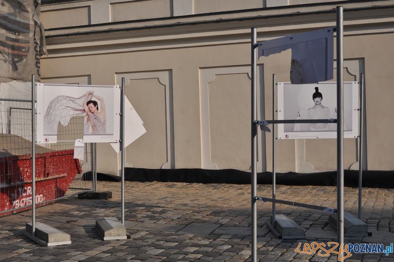Zniszczona wystawa na Starym Rynku  Foto: Katarzyna Piwecka