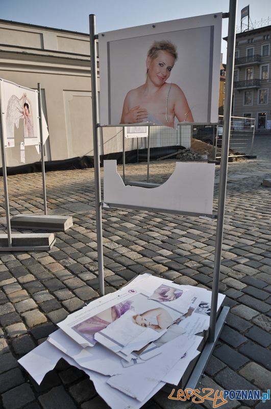 Zniszczona wystawa na Starym Rynku  Foto: Katarzyna Piwecka