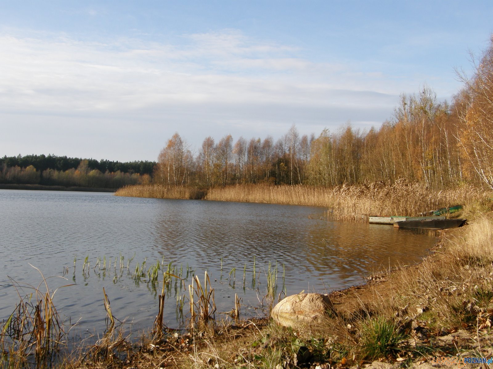 Jezioro Kamińsko Puszcza Zielonka  Foto: wikipedia.pl