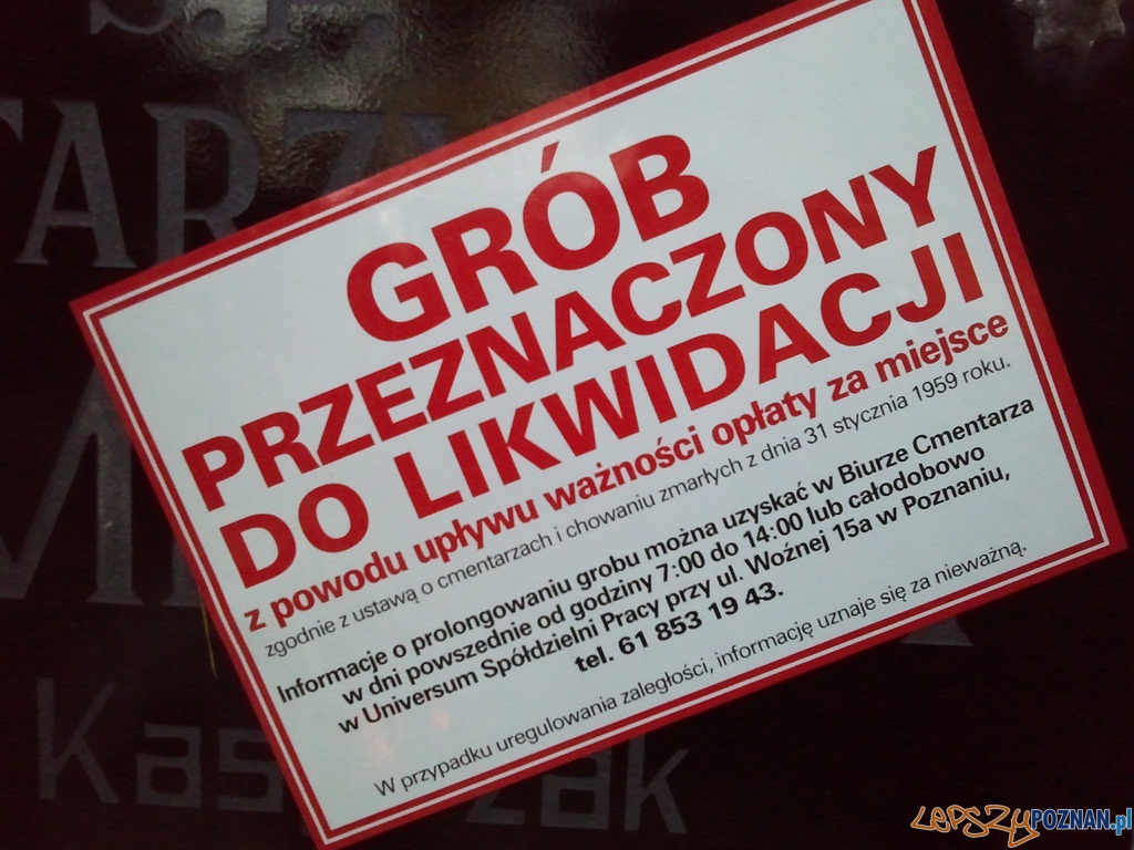 Grób przeznaczony do likwidacji  Foto: lepszyPOZNAN.pl / ag