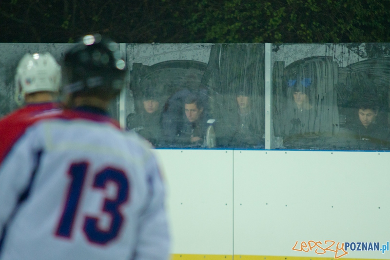 Dzikie Krokodyle Poznań vs. PTH Poznań - Lodowisko Chwiałka 21.11.2011 r.  Foto: lepszyPOZNAN.pl / Piotr Rychter