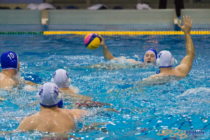 Prezentacja zespołu KS Waterpolo Poznań - dziennikarze vs zawodnicy  Foto: lepszyPOZNAN.pl / Piotr Rychter