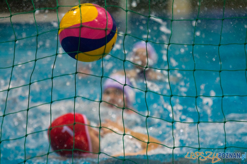 Prezentacja zespołu KS Waterpolo Poznań  Foto: lepszyPOZNAN.pl / Piotr Rychter