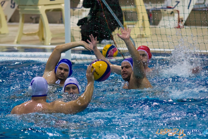 Prezentacja zespołu KS Waterpolo Poznań  Foto: lepszyPOZNAN.pl / Piotr Rychter