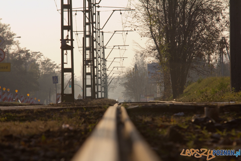 Linia tramwajowa na Junikowo  Foto: lepszyPOZNAN.pl / Piotr Rychter