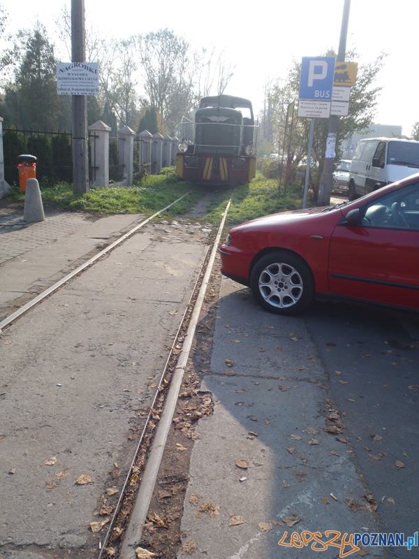 Fiat blokuje torowisko na ulicy Wiśniowej - Poznań 4.11.2011 r.  Foto: Straż Miejska