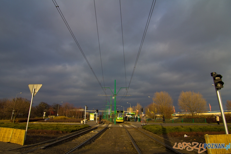 Wietrzna Starołęka  Foto: lepszyPOZNAN.pl / Piotr Rychter