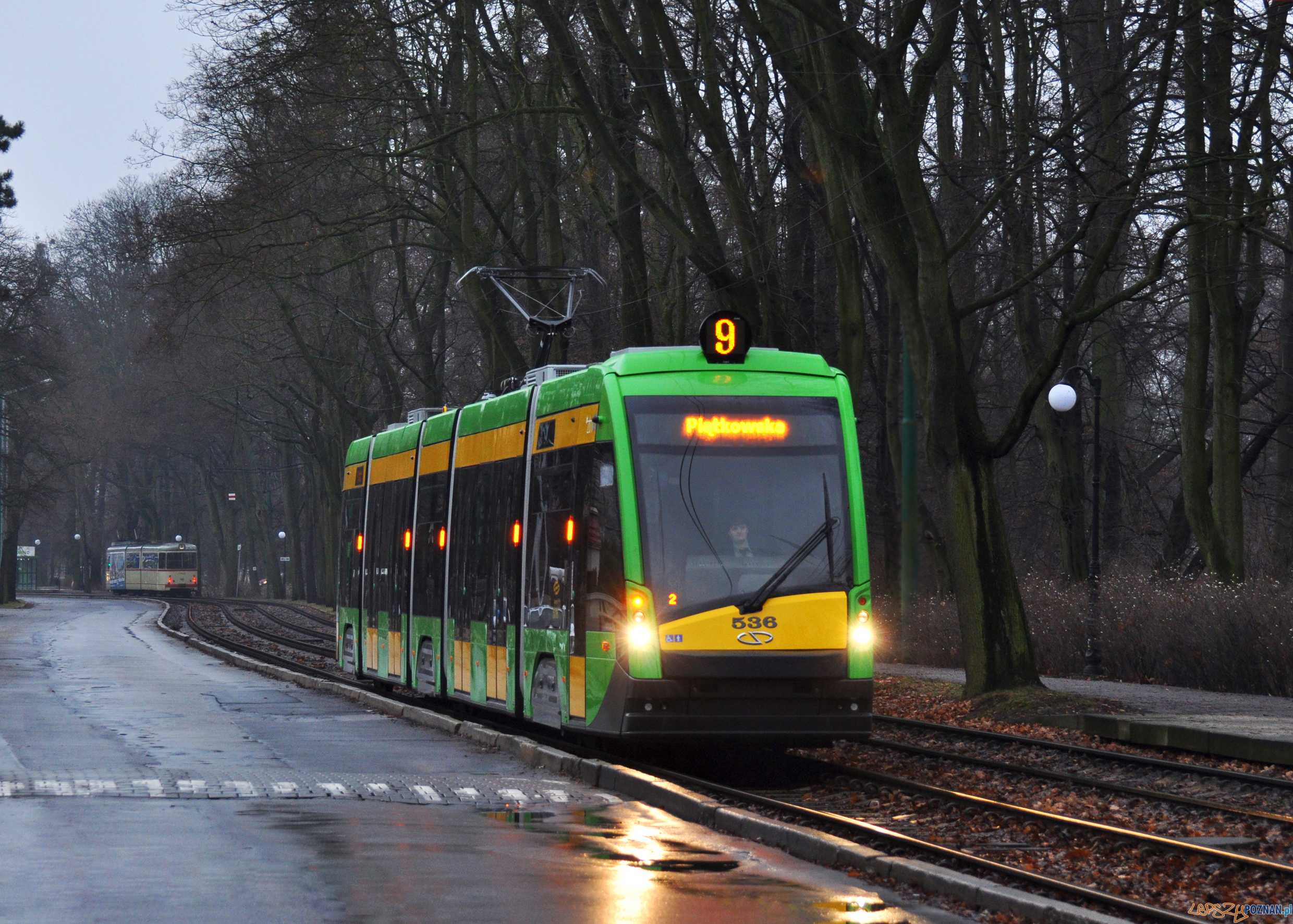 Tramino 9 w Poznaniu  Foto: 