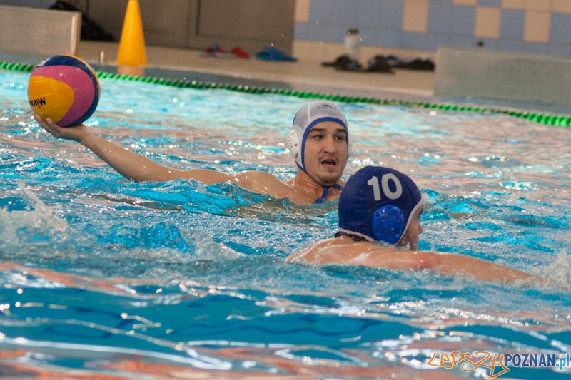 KS Waterpolo Poznań - Gorzowski Klub Piłki Wodnej 19:18  Foto: LepszyPOZNAN.pl / Paweł Rychter