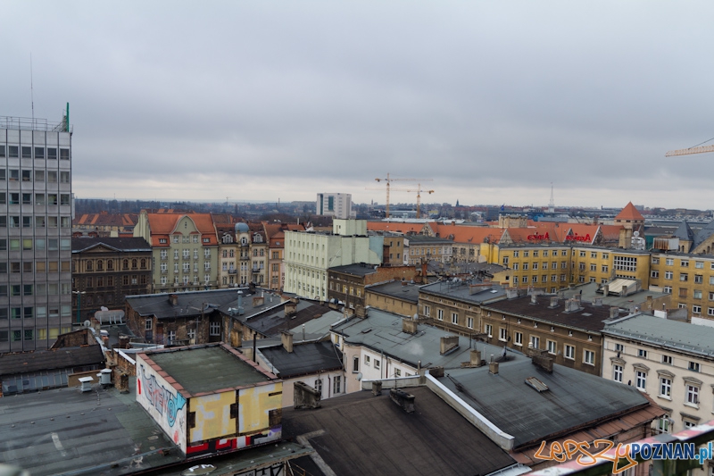 Okrąglak  Foto: lepszyPOZNAN.pl / Piotr Rychter