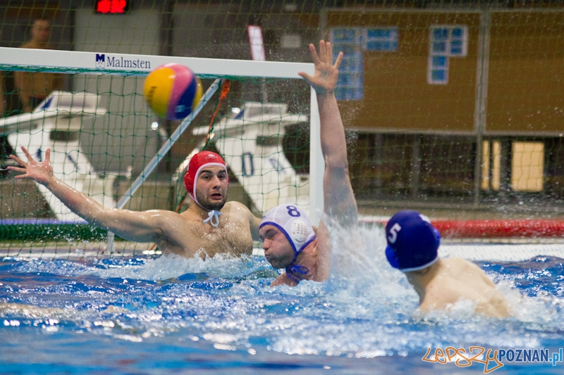 Mecz Waterpolo  Foto: lepszyPOZNAN.pl / Piotr Rychter