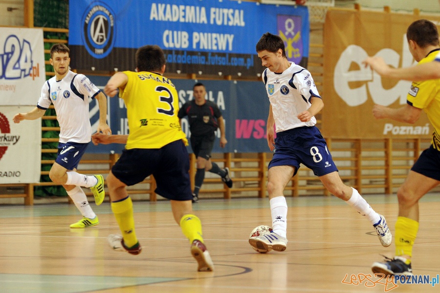 Akademia Futsal Club Pniewy  Foto: wielkopolskisport.pl / Krzysztof Kaczyński