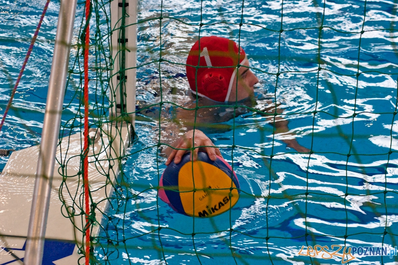 Alstal Waterpolo Poznan - LSTW UŁ Łódź  Foto: LepszyPOZNAN.pl / Paweł Rychter