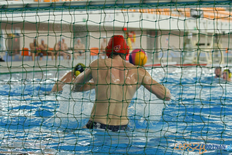 Alstal Waterpolo Poznan - LSTW UŁ Łódź  Foto: Ewelina Gutowska