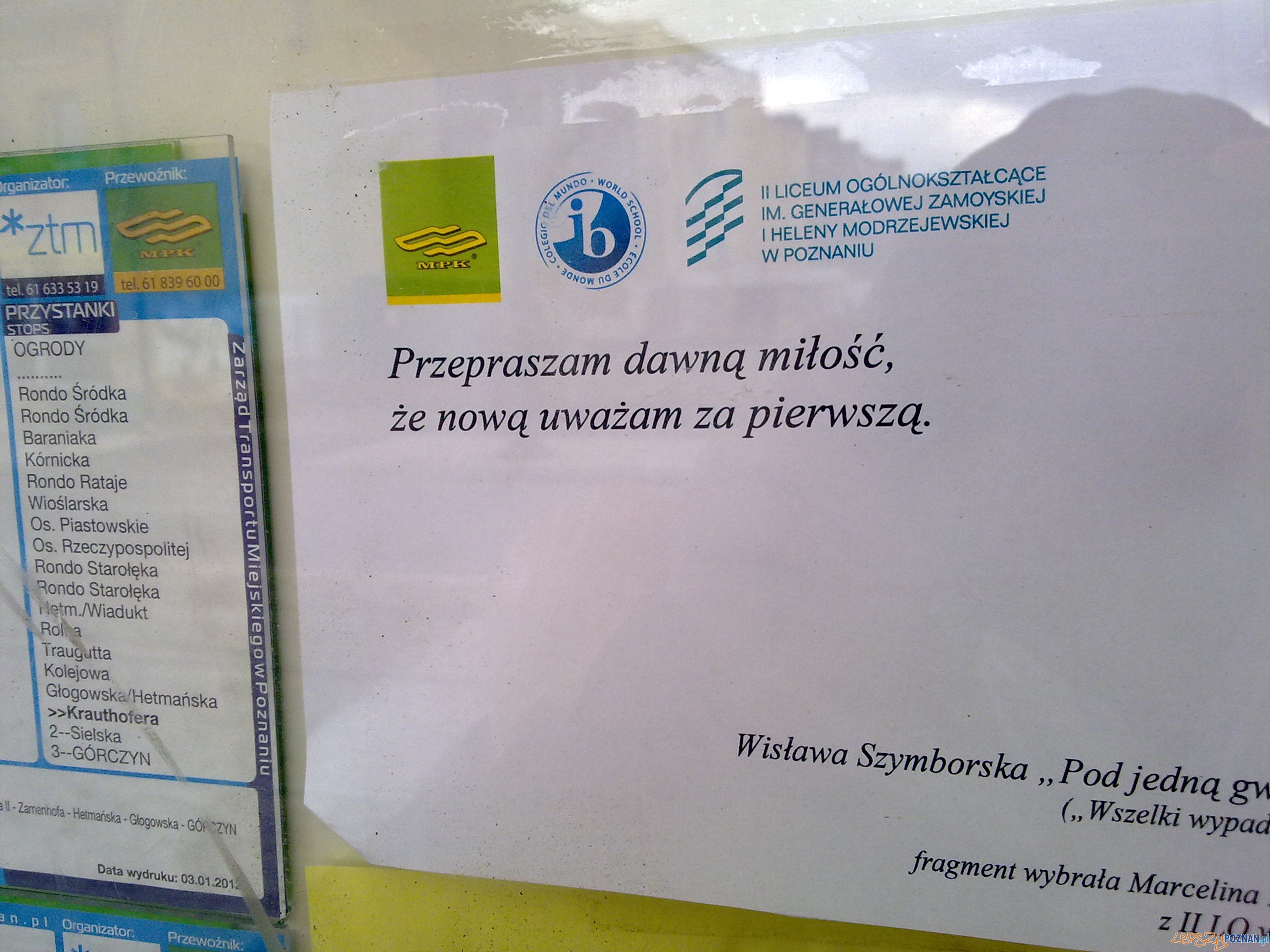 Poezja Szymborskiej na przystankach MPK  Foto: 