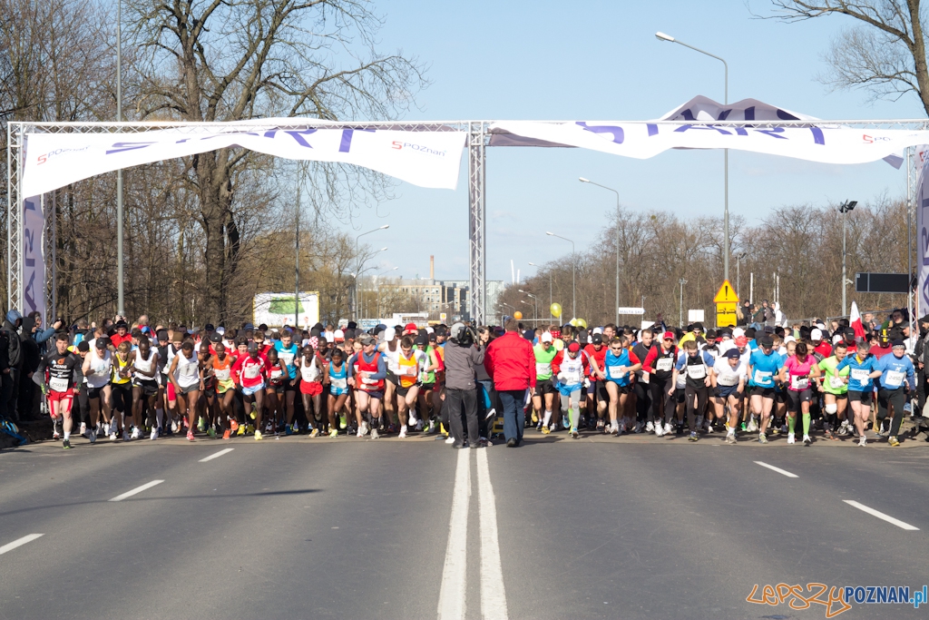 5 Poznań Półmaraton  Foto: (c) Anna Bernard