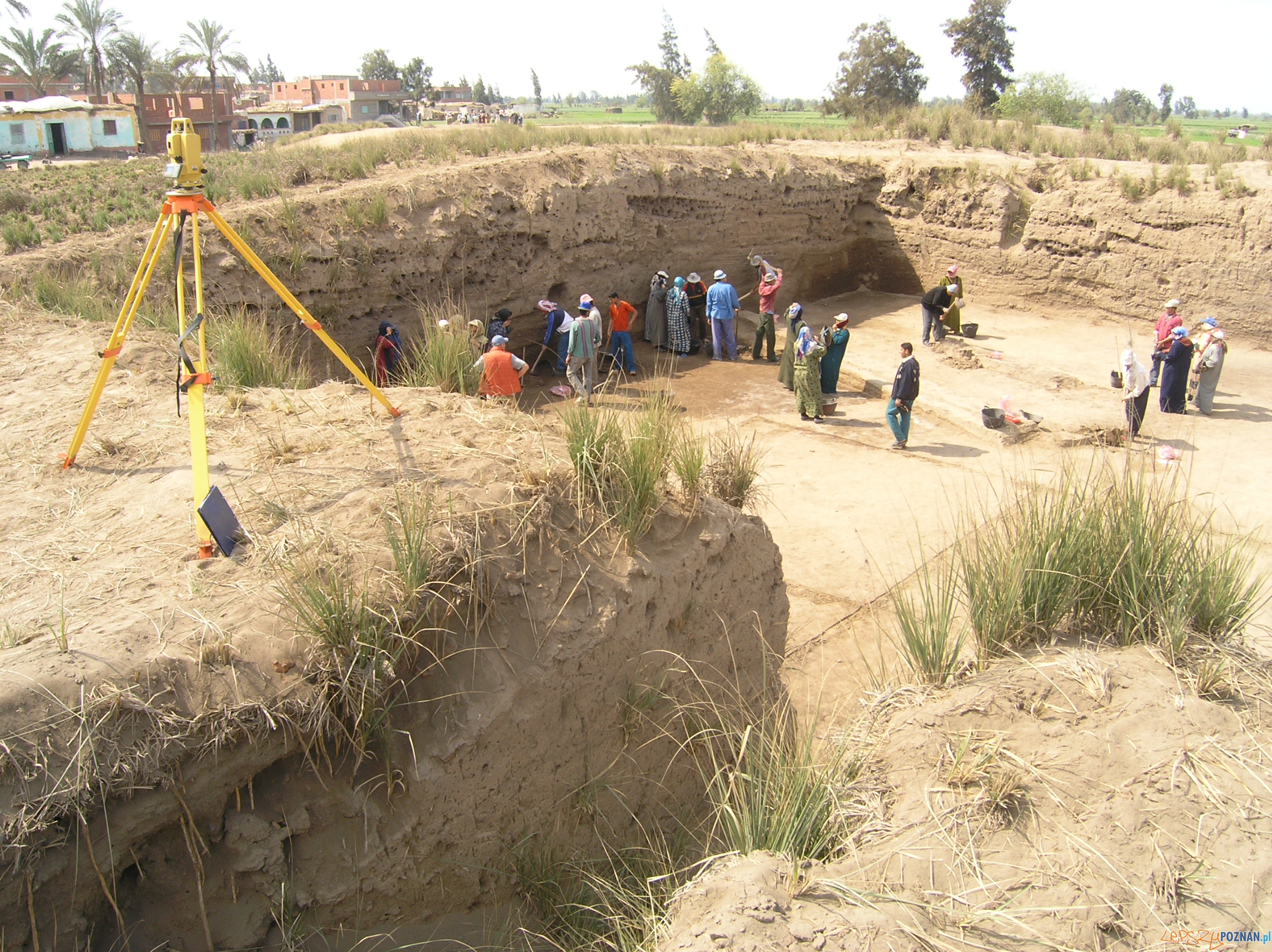 Wykopaliska w Tell El-Farcha  Foto: Muzeum Archeologiczne w Poznaniu