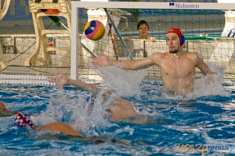 Alstal Waterpolo Poznań - WTS Bytom - Poznań 12.05.2012 r.  Foto: Ewelina Gutowska