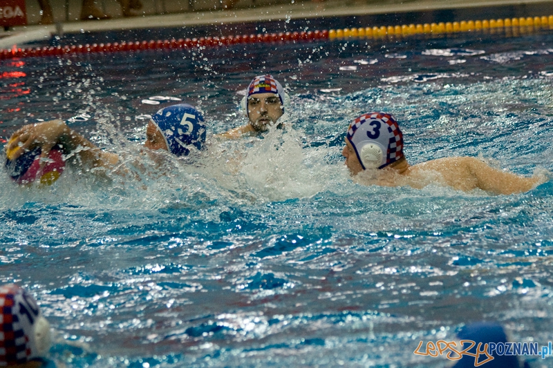 Alstal Waterpolo Poznań - WTS Bytom - Poznań 13.05.2012 r.  Foto: Ewelina Gutowska