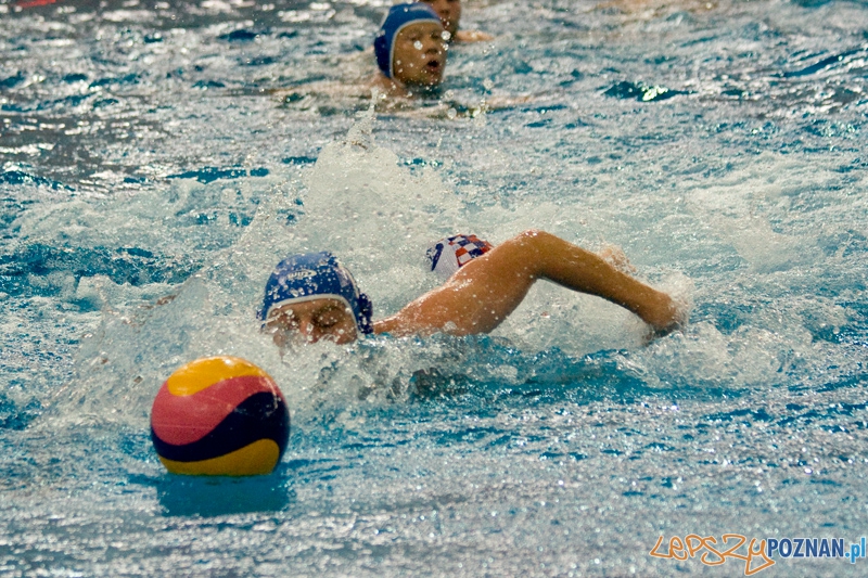 Alstal Waterpolo Poznań - WTS Bytom - Poznań 13.05.2012 r.  Foto: Ewelina Gutowska