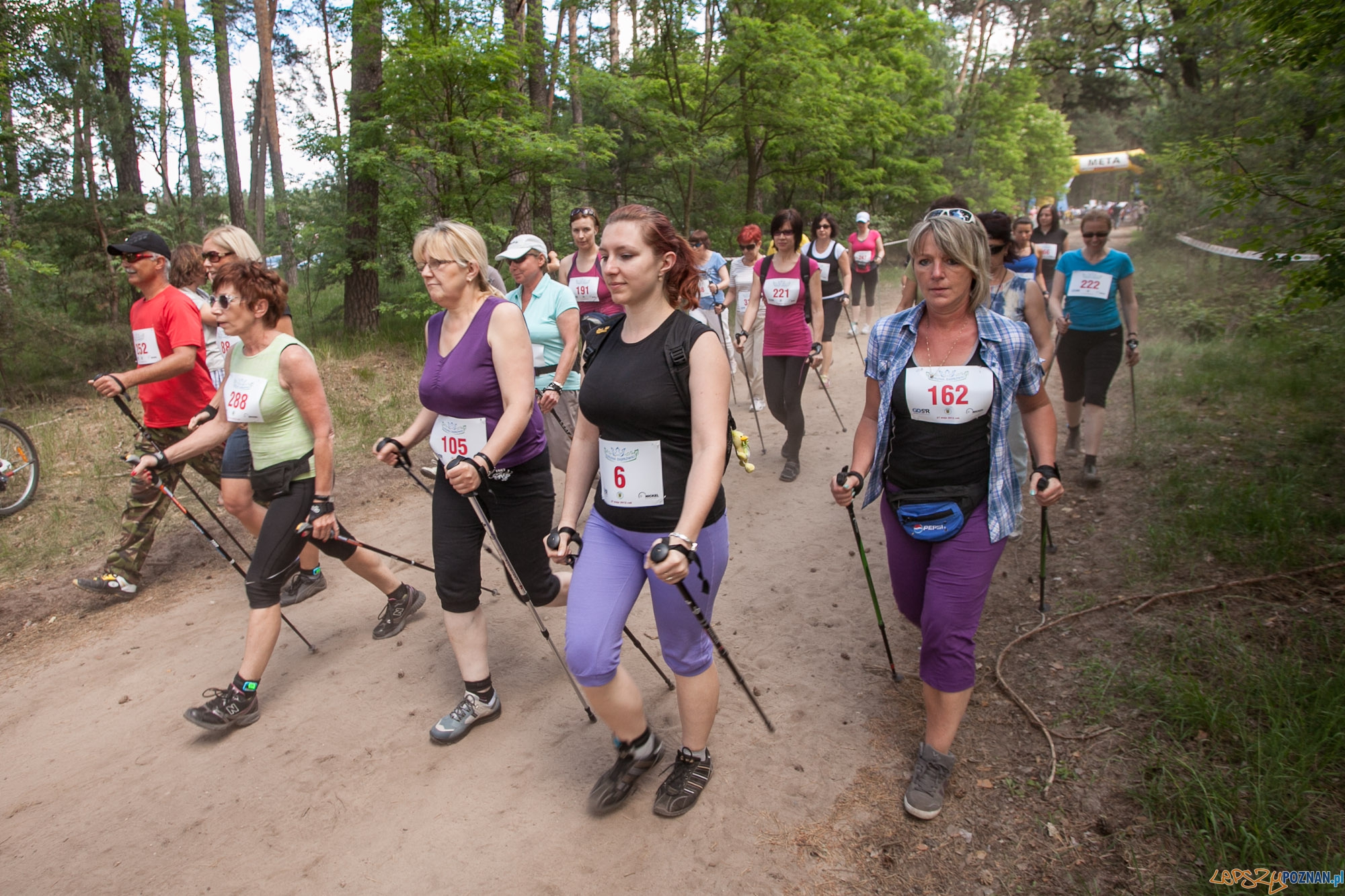 Na trasie nordic walking  Foto: Maciej Nowaczyk