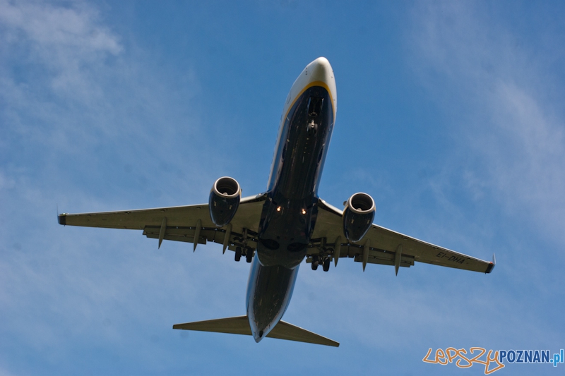 Samolot Boeing 737-800  Foto: LepszyPOZNAN.pl / Paweł Rychter