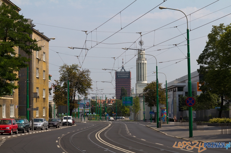 ulica Grunwaldzka  Foto: lepszyPOZNAN.pl / Piotr Rychter