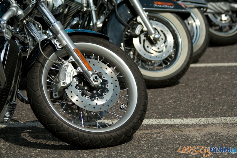 Zlot miłośników marki Harley-Davidson 2012 r  Foto: Ewelina Gutowska