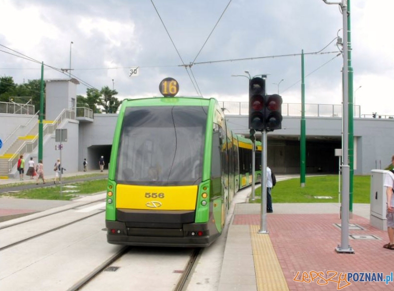 Nowa trasa tramwajowa na Franowo  Foto: lazarz.pl