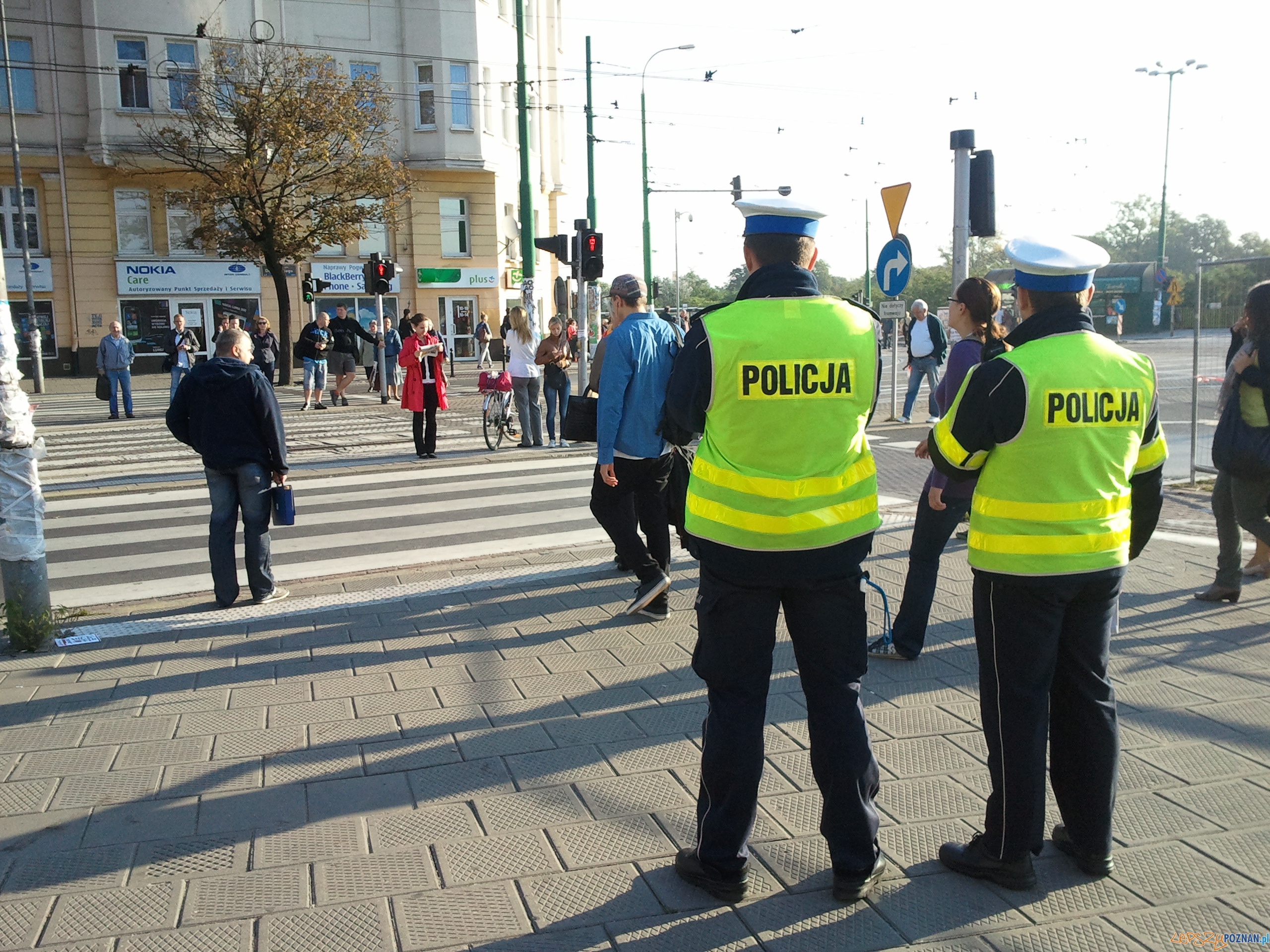 Szkieły na Teatralce  Foto: lepszyPOZNAN.pl / gsm