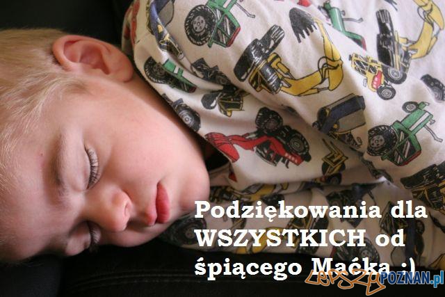 Mały Maciek  Foto: Mały Maciek